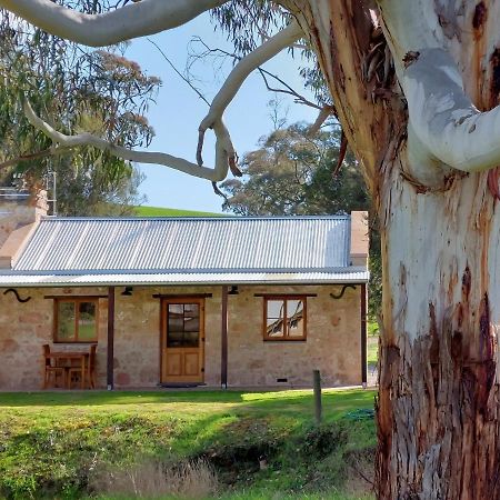 Bed and breakfast Bungaree Station Extérieur photo