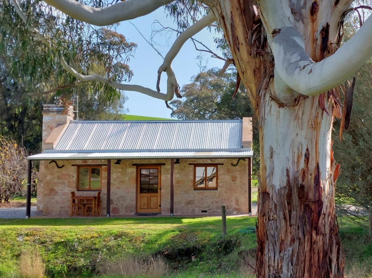 Bed and breakfast Bungaree Station Extérieur photo